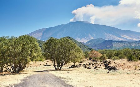 לימונצ'לו איטלקי - דרום איטליה